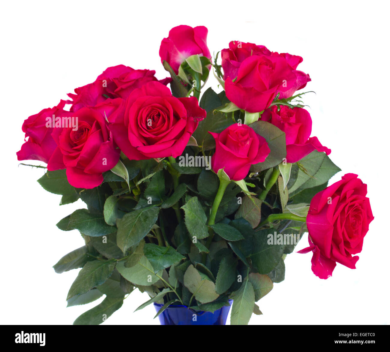 bouquet of dark pink roses Stock Photo - Alamy