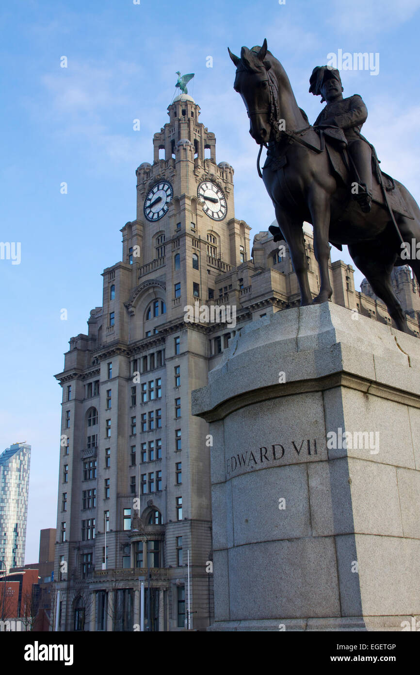 Albert docks, Liverpool, Merseyside, England  UK showing Royal Liver building and Edward VII Equestrian statue Stock Photo
