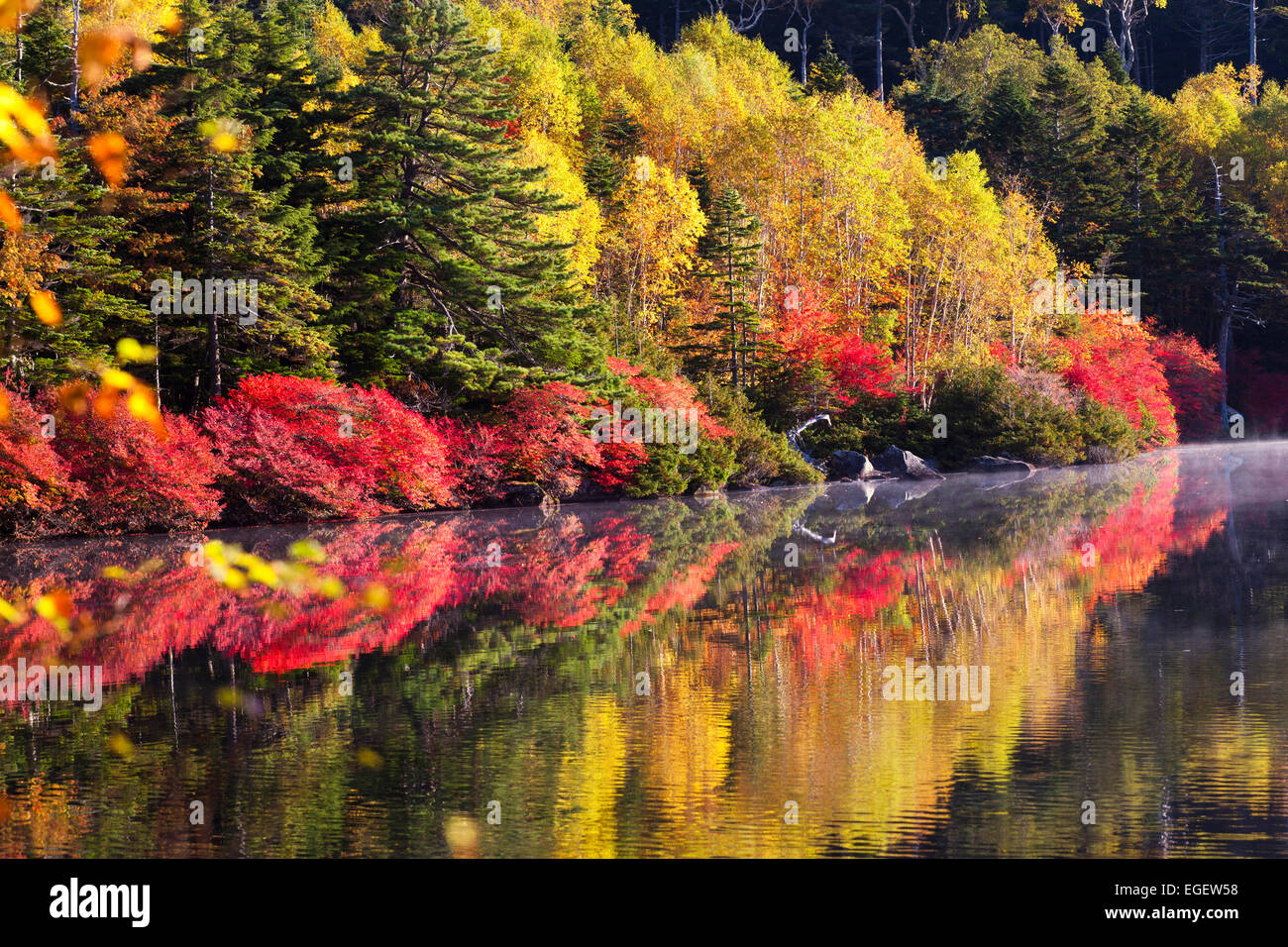 Autumn Leaves Stock Photo