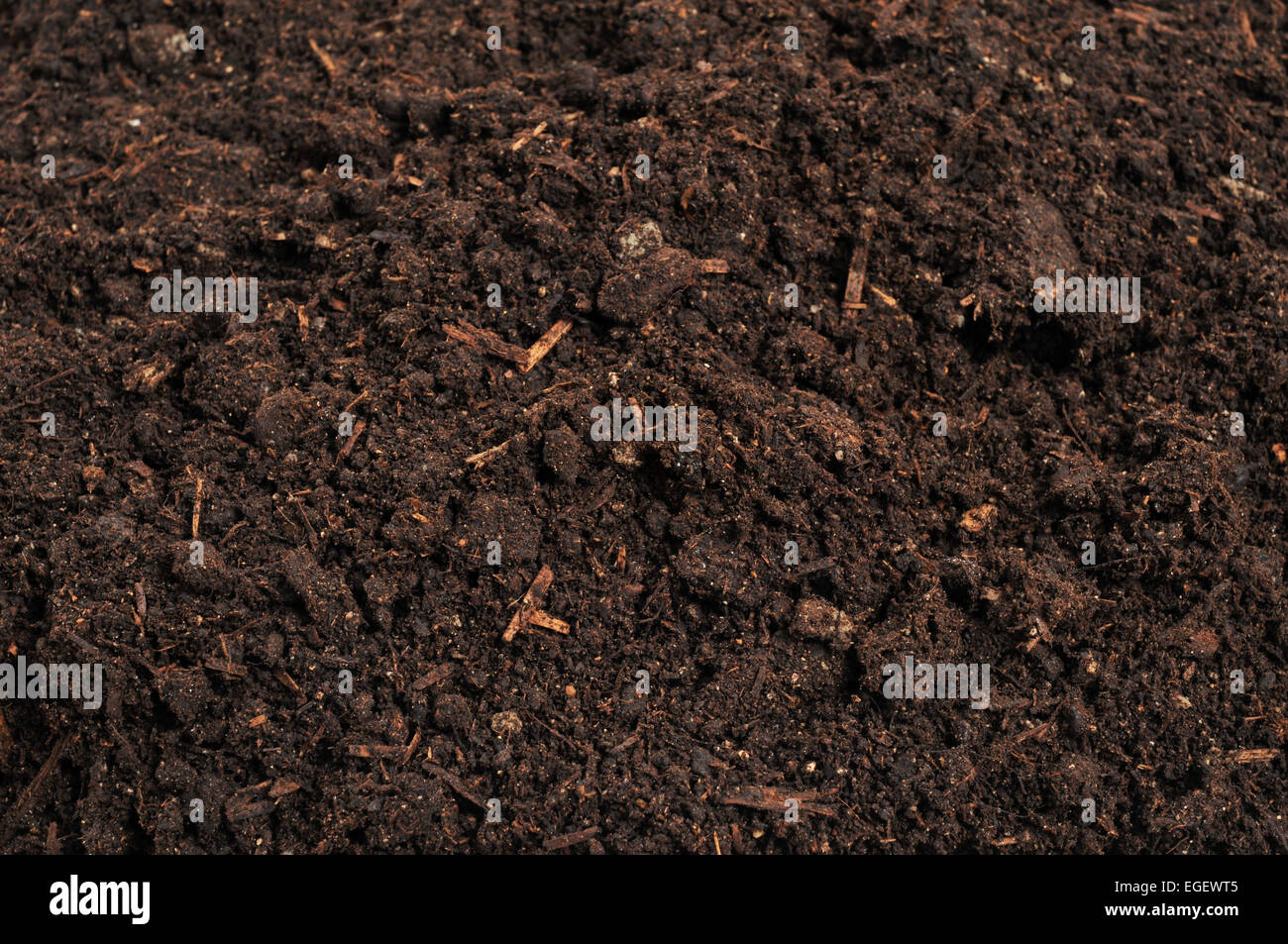 close-up of soil Stock Photo