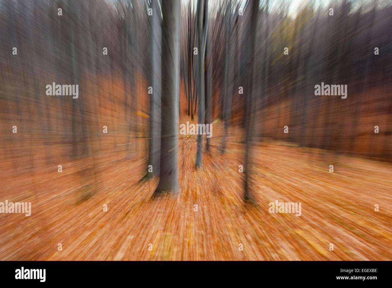 Optical illusion with zooming lens in autumn Stock Photo