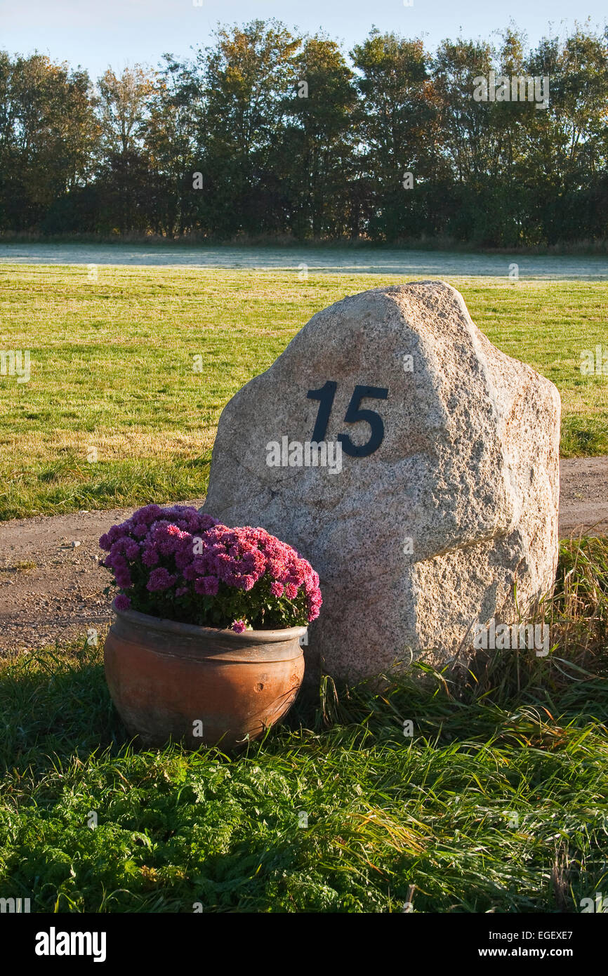 House number 15 on a rock with red flowers in front Stock Photo