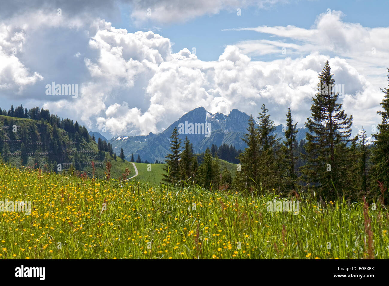 Summer in the Austrian Alps. Focus on the Mountain Stock Photo