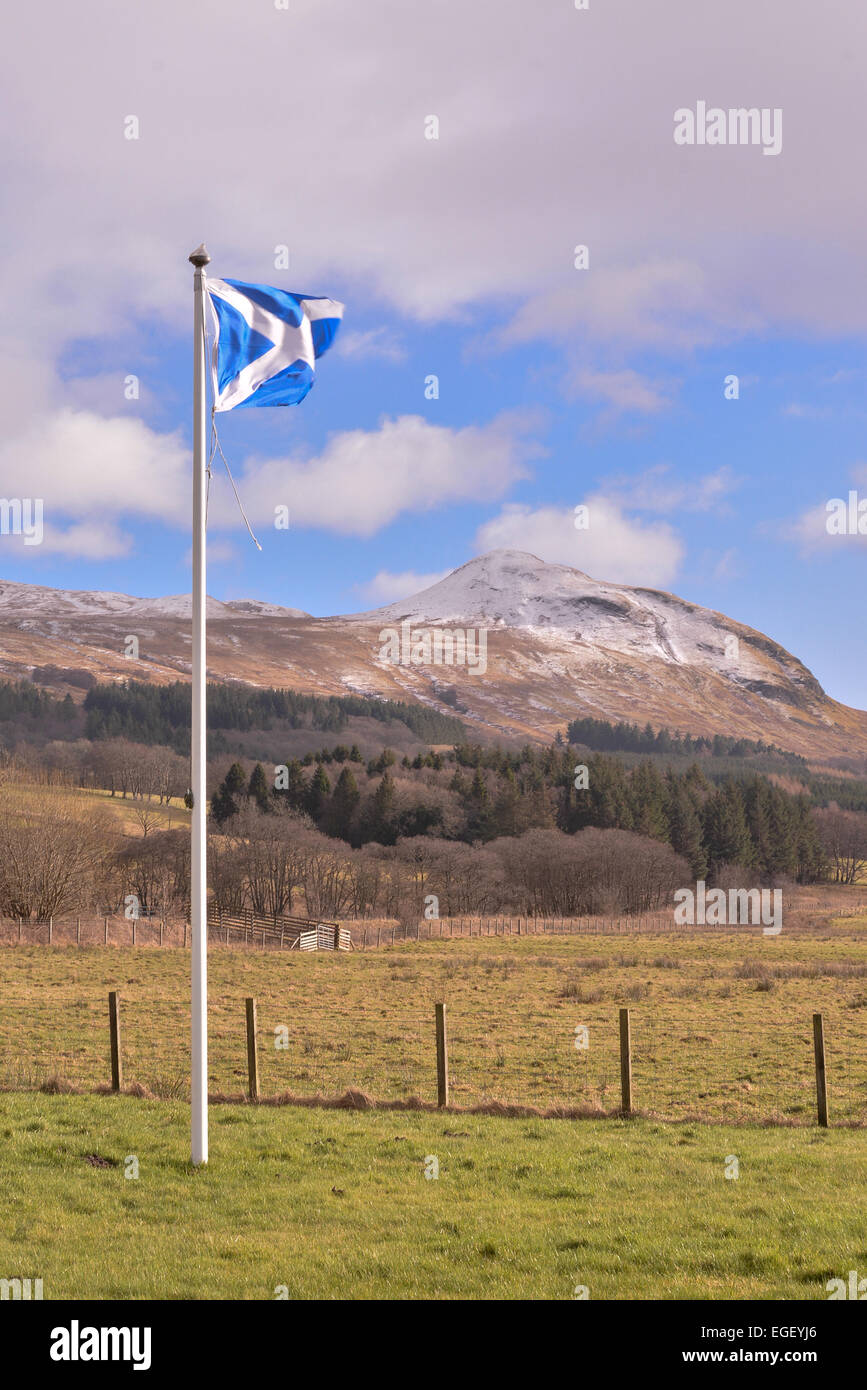 National flag of Scotland- the Saltire - blowing on a gusty winter day with the hill of Dumgoyne sprinkled with snow behind Stock Photo