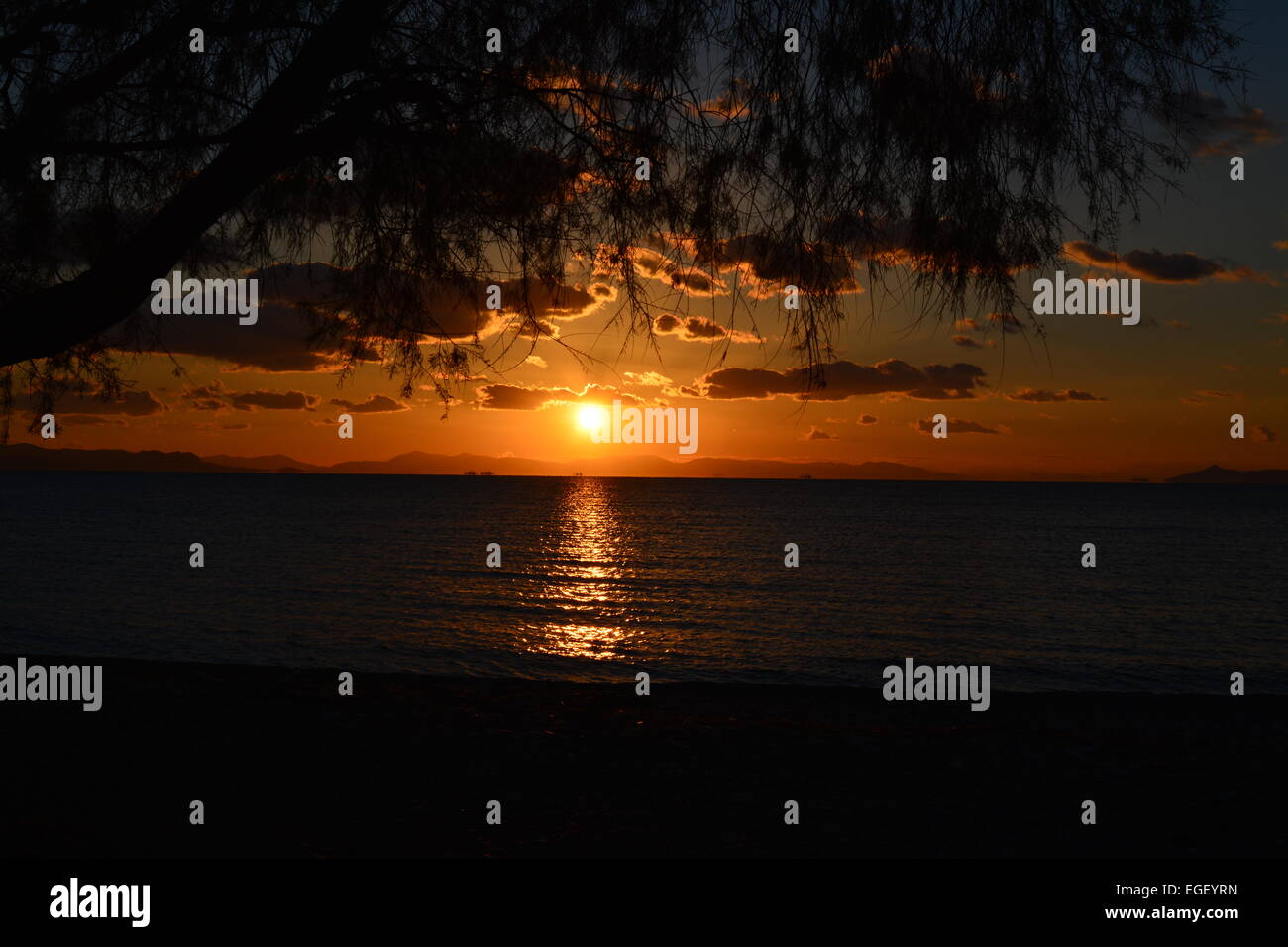 Beautiful sunset at the beach with nice tree Stock Photo