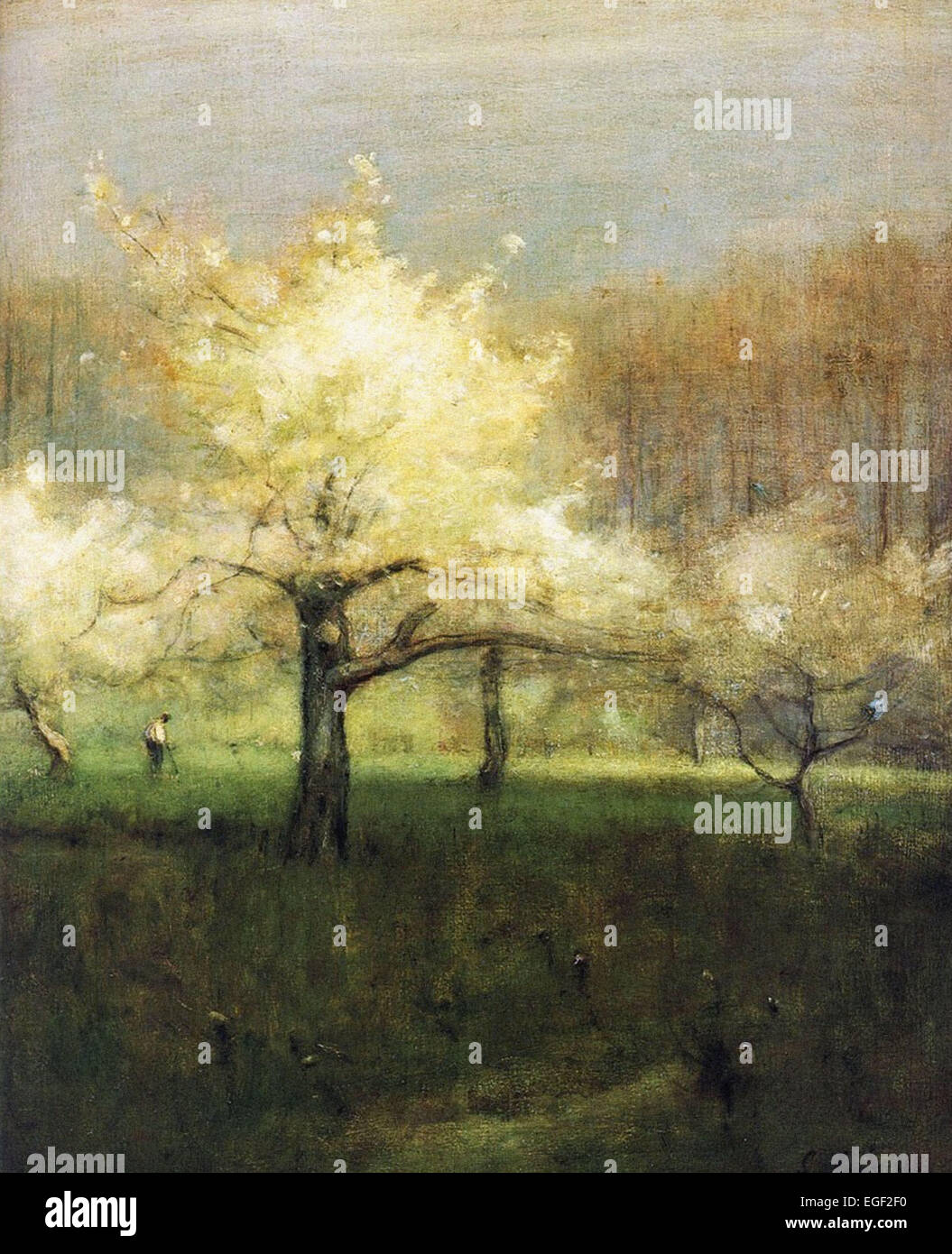 George Inness  Apple Blossom Time Stock Photo