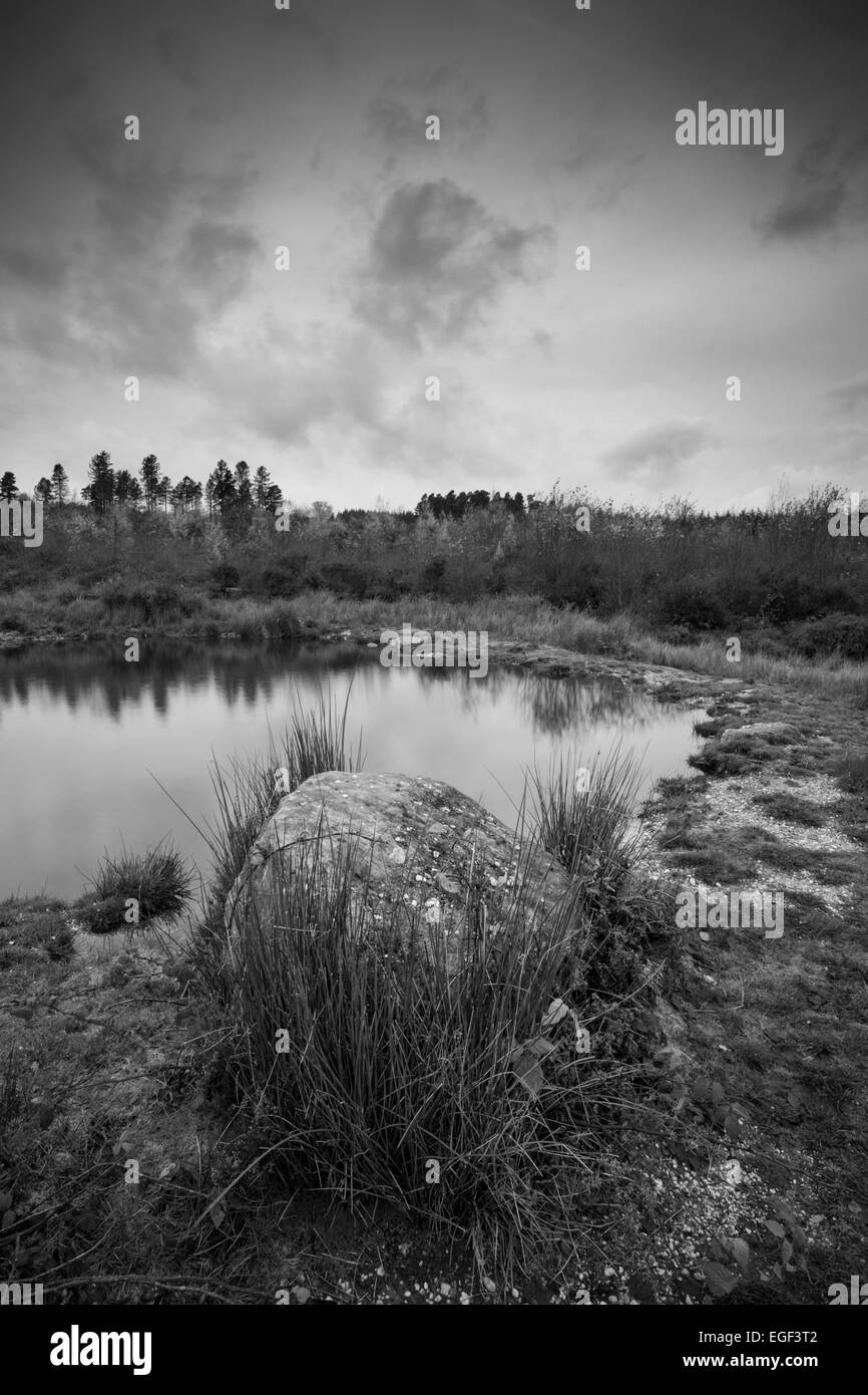 Pond on Welsh heathland landscape. Stock Photo