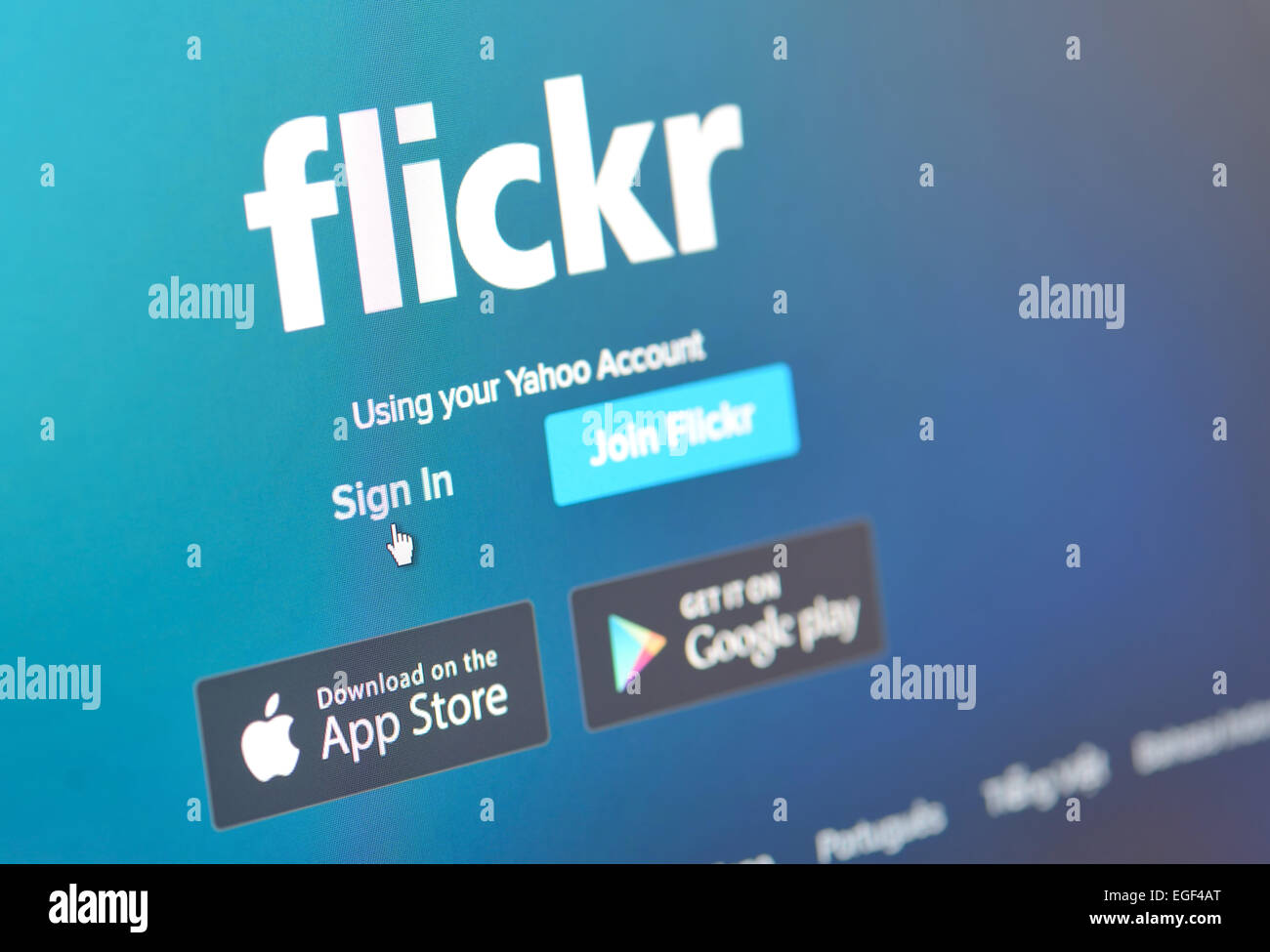 Galati, Romania, february 24, 2015, Close-up image of  Flickr webpages on a monitor screen Stock Photo