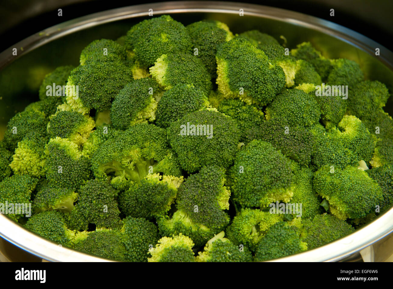 Broccoli in warming trays for buffet line Stock Photo