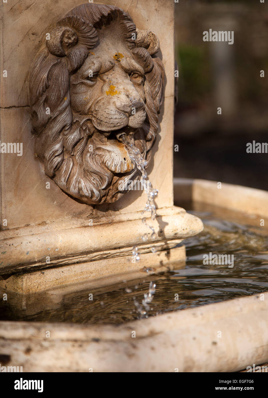 Stone lions head hi-res stock photography and images - Alamy