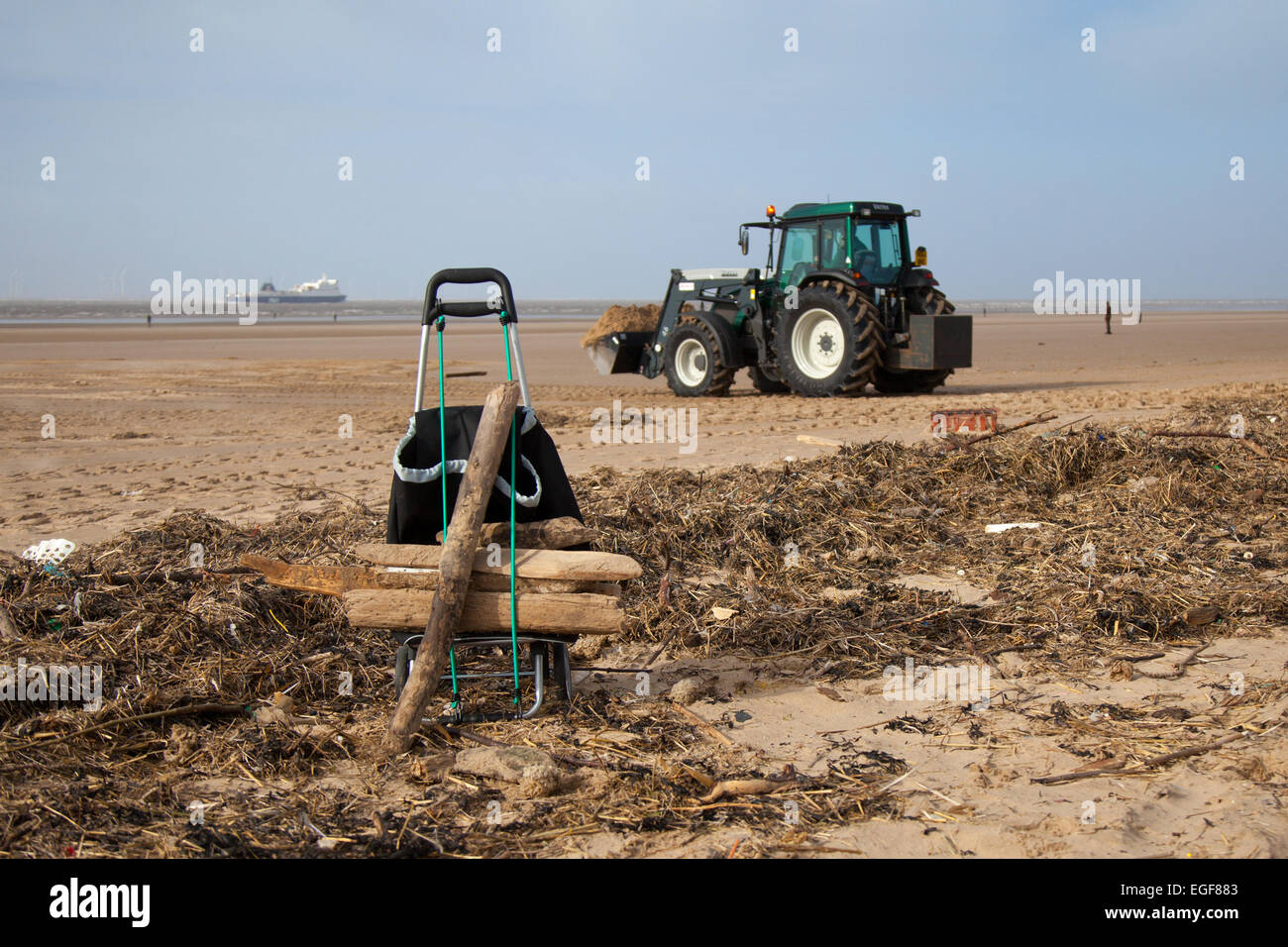 Water washed tree bits hires stock photography and images Alamy
