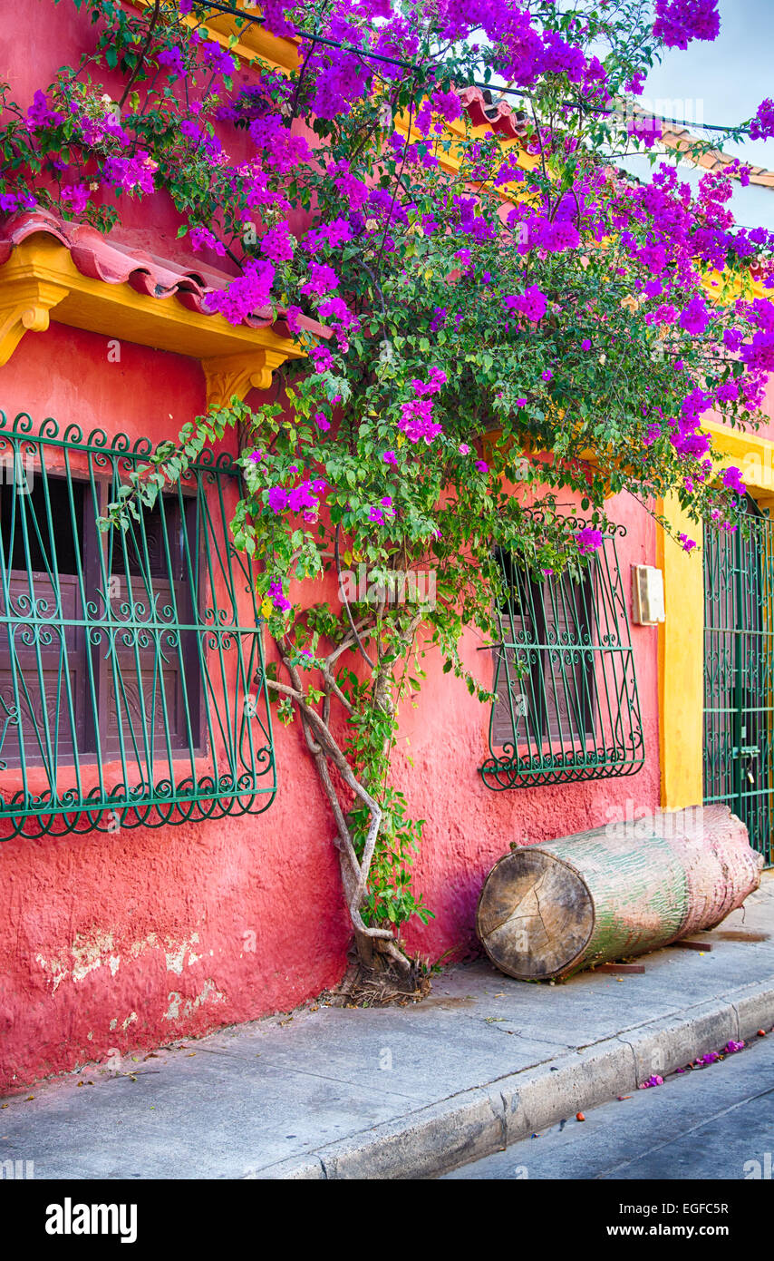 Colonial homes in the old city of Cartagena, Colombia. Stock Photo