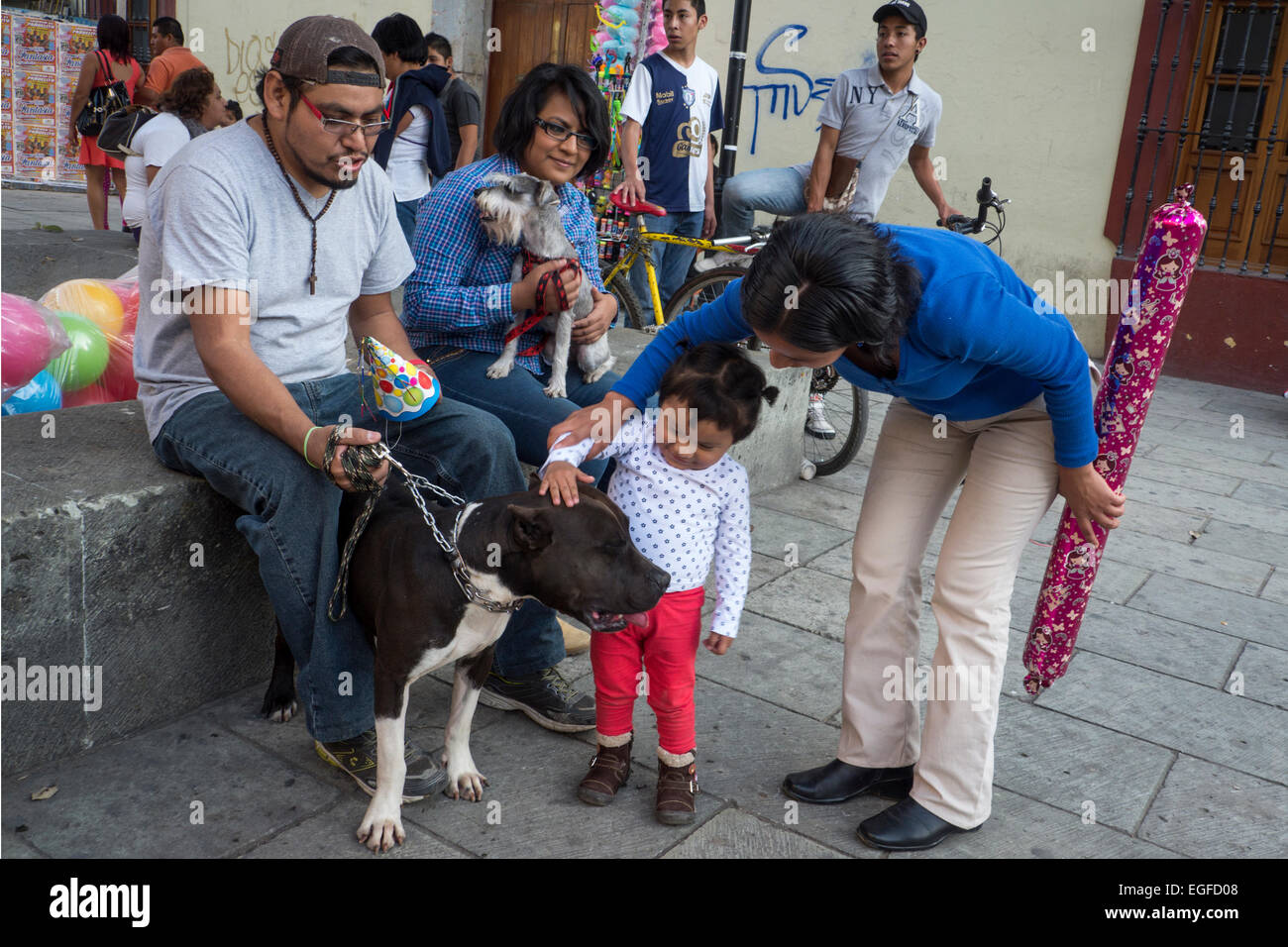 Small Mexican child pets a big black dog in the Zocalo in Oaxaca Stock Photo
