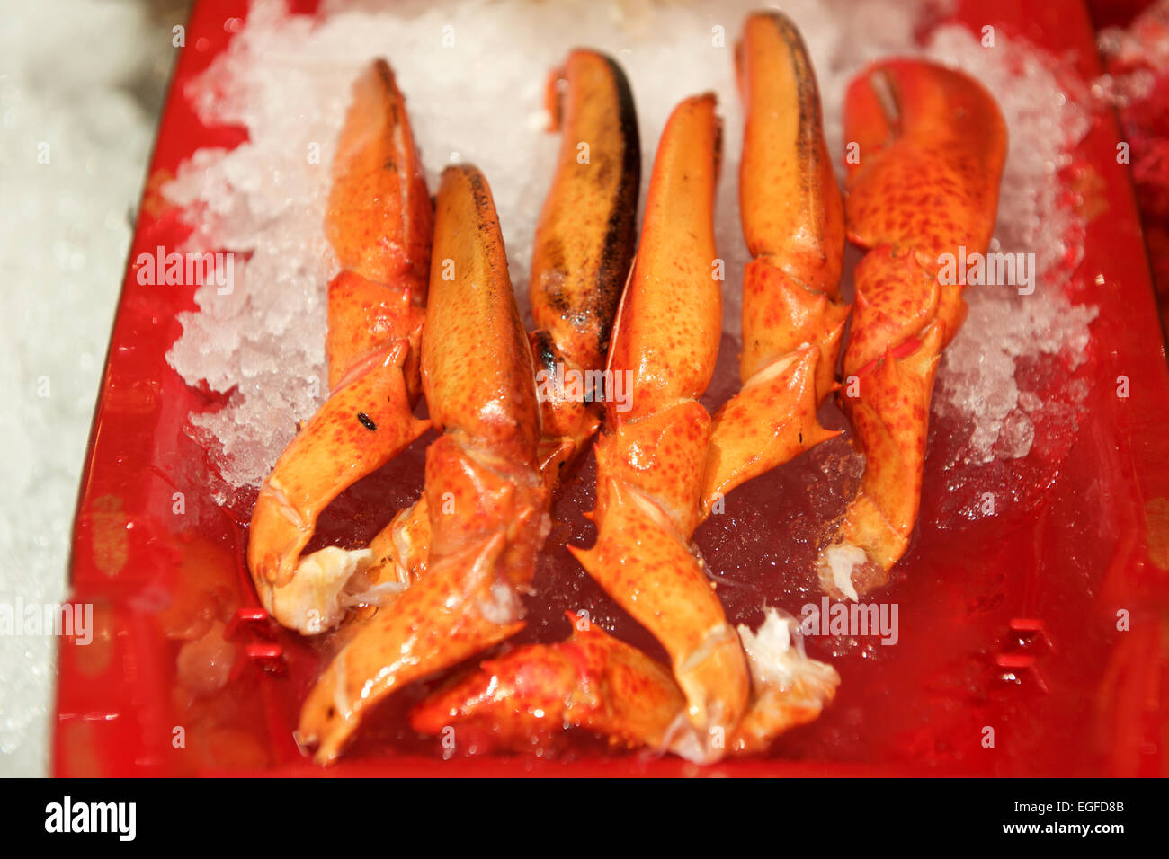 Crab crawls seafood in a buffet restaurant Stock Photo