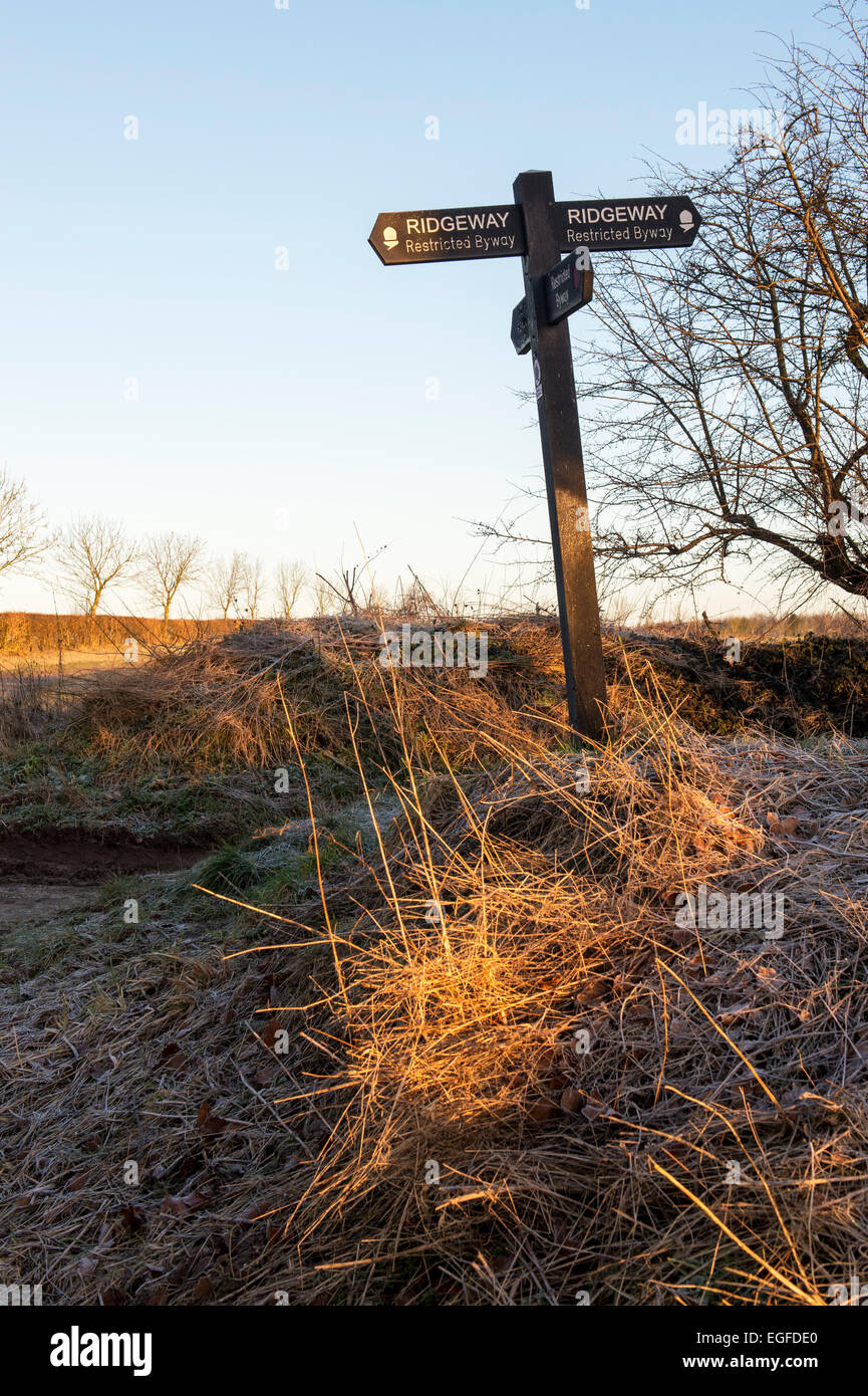 Morning winter sunlight on a Ridgeway signpost. Oxfordshire, England Stock Photo