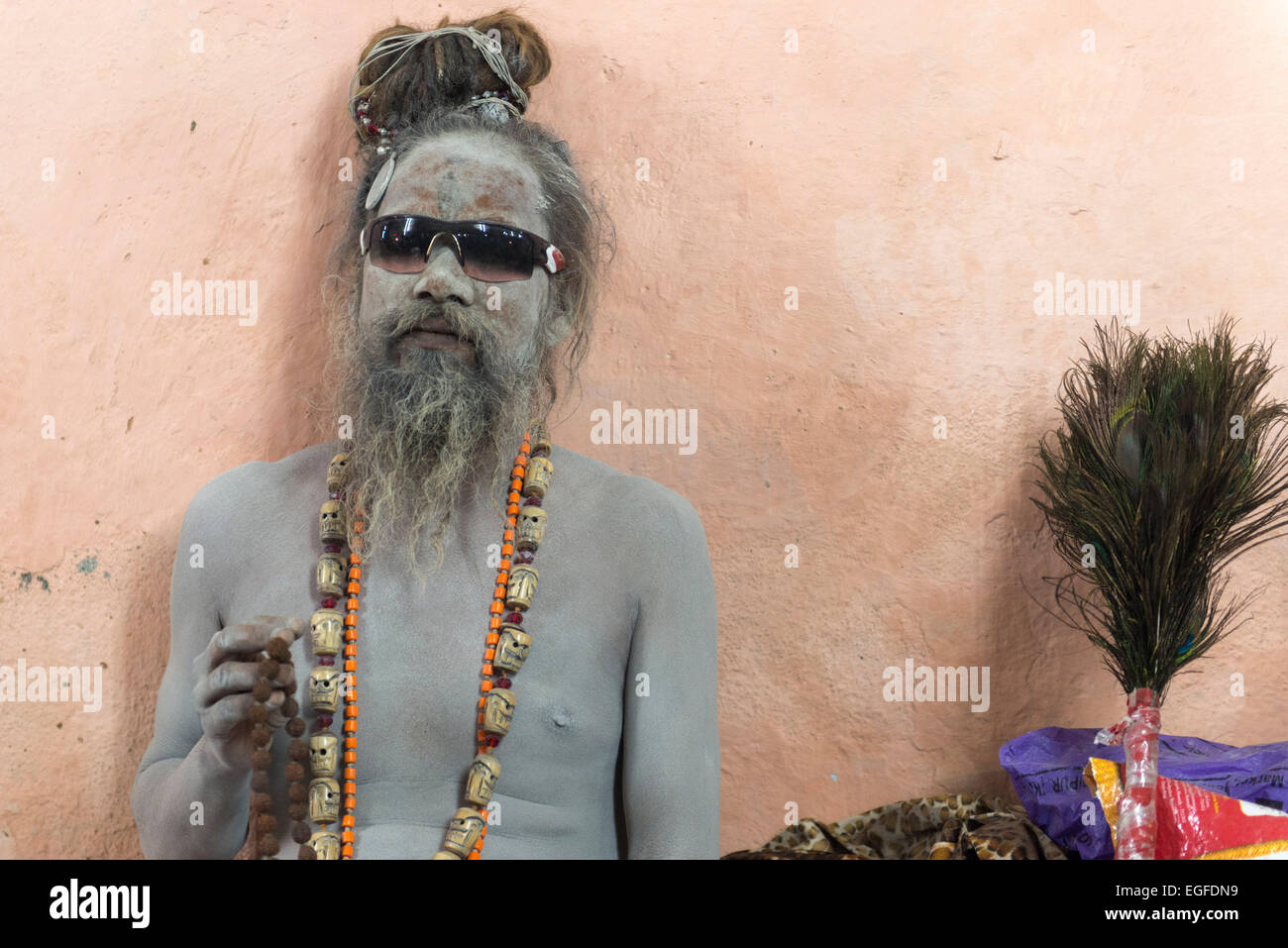 Naga Sadhu Shivratri Bhavnath Mela Stock Photo Alamy