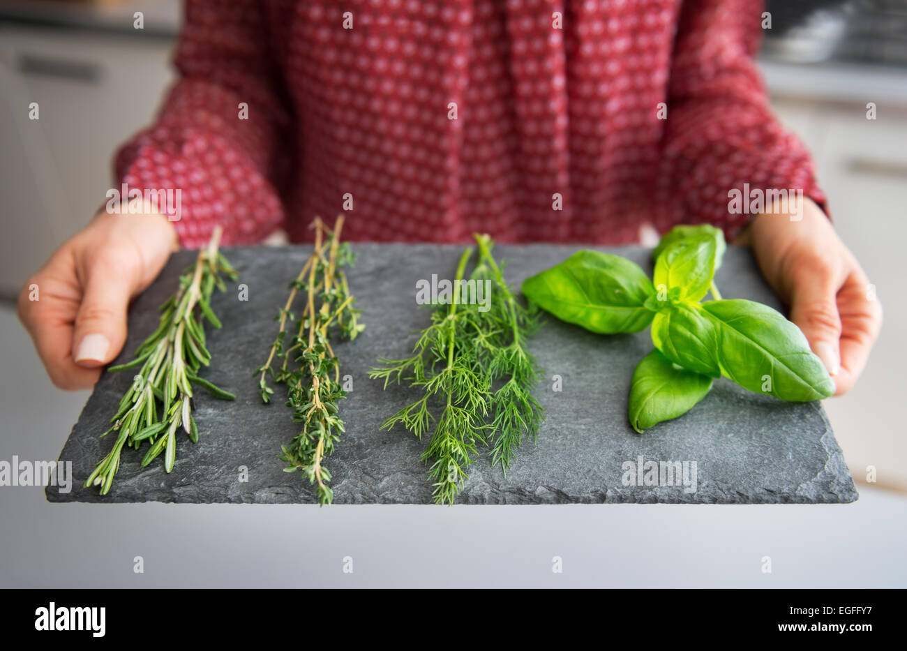 Closeup on young housewife showing fresh spices herbs on stone substrate Stock Photo