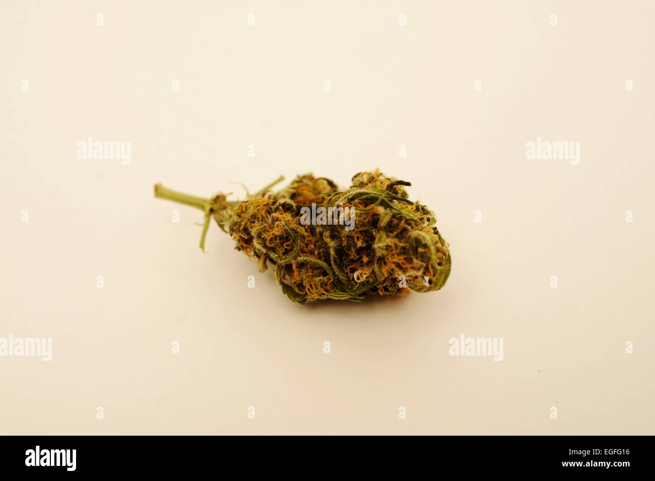 Medicinal Marijuana Stock Photo