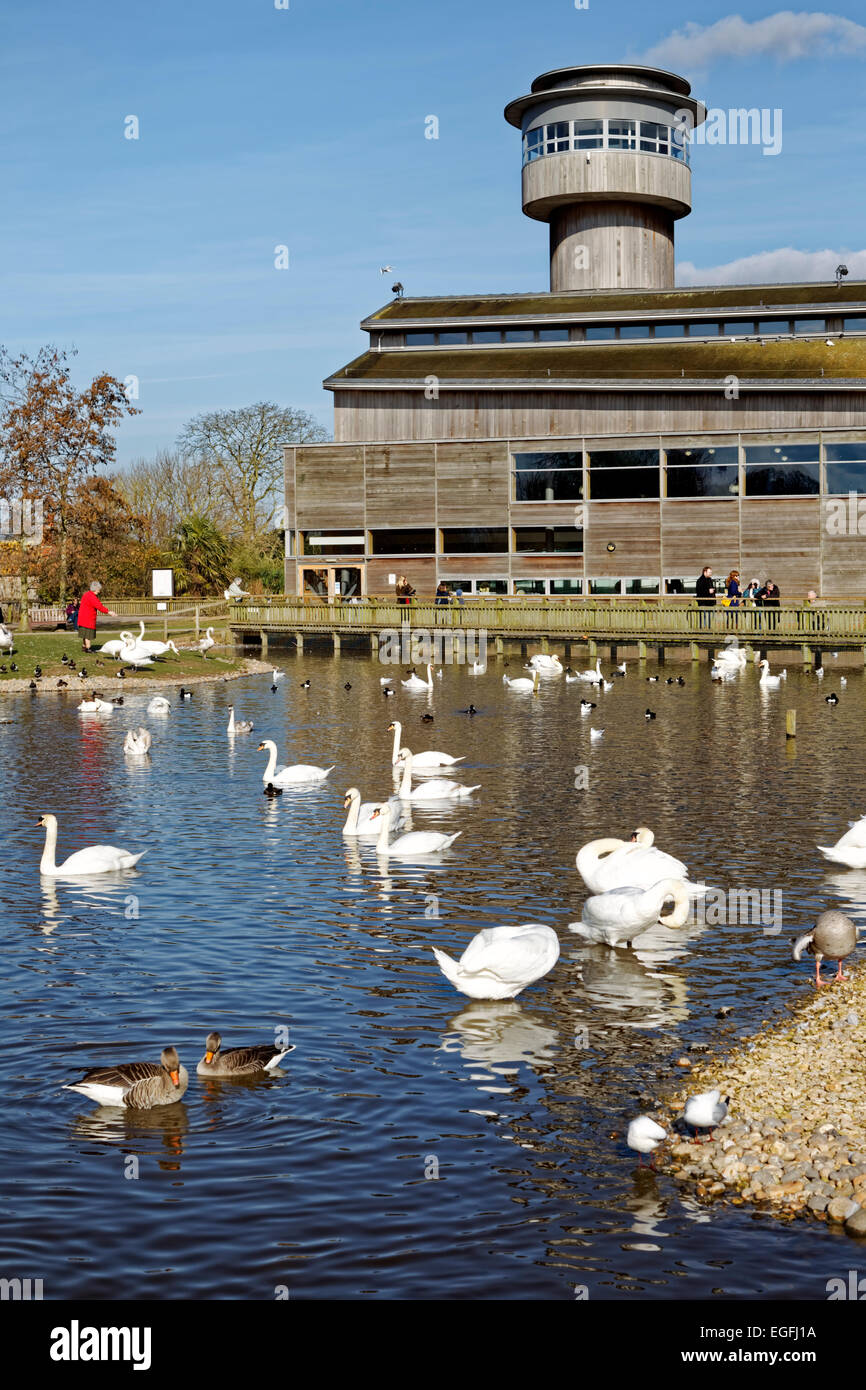 Slimbridge wwt tower hires stock photography and images Alamy