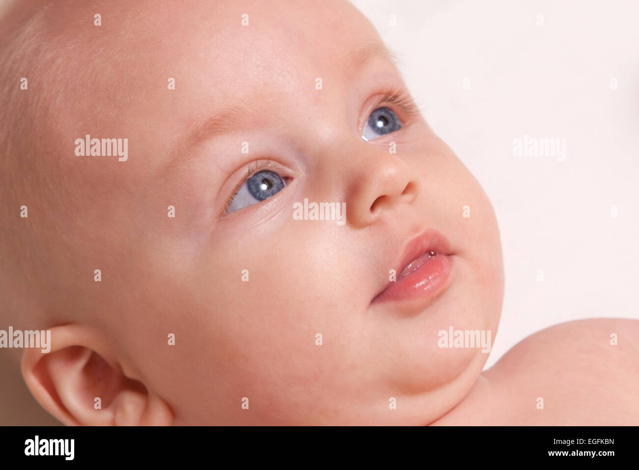 5 month old baby Stock Photo
