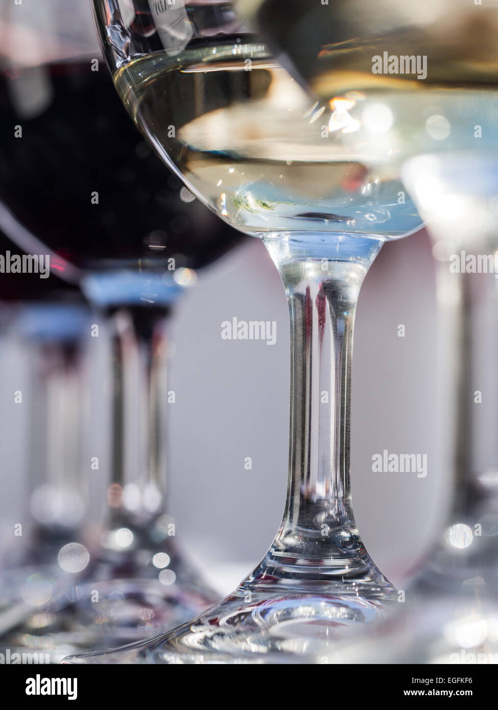 Different South African wines in wine glasses Stock Photo Alamy