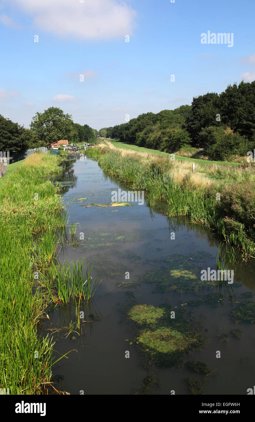 Grantham Canal, near the Vale of Belvoir, Lincolnshire Stock Photo