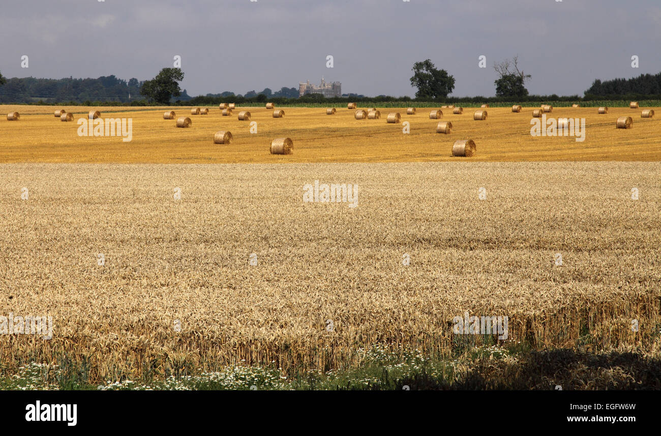 View across the Vale of Belvoir towards Belvoir Castle, rolled hay bales Stock Photo