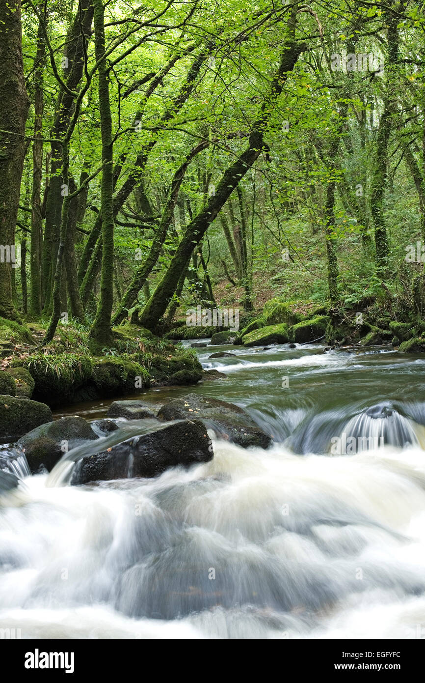 waterfall-golitha-falls-on-the-southern-edge-of-bodmin-moor