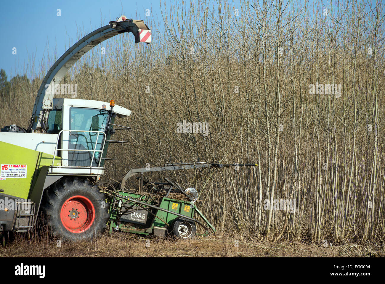 Short rotation plantation hi-res stock photography and images - Alamy