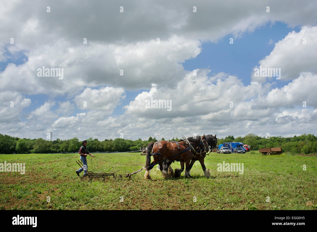 Farmers with working heavy horses displaying their techniques at Abbey Home Farm in