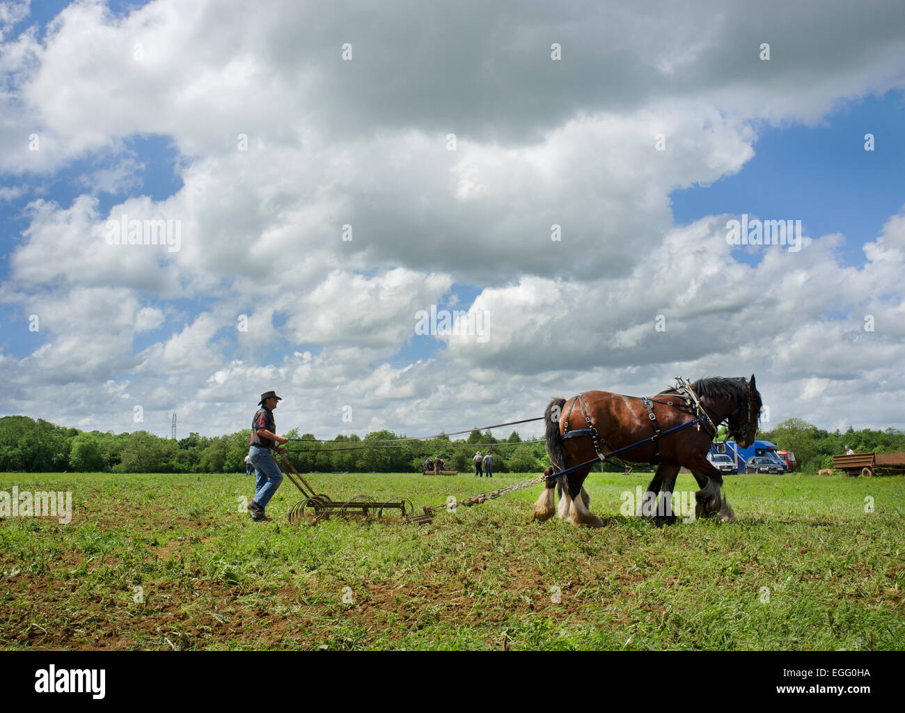Farmers with working heavy horses displaying their techniques at Abbey