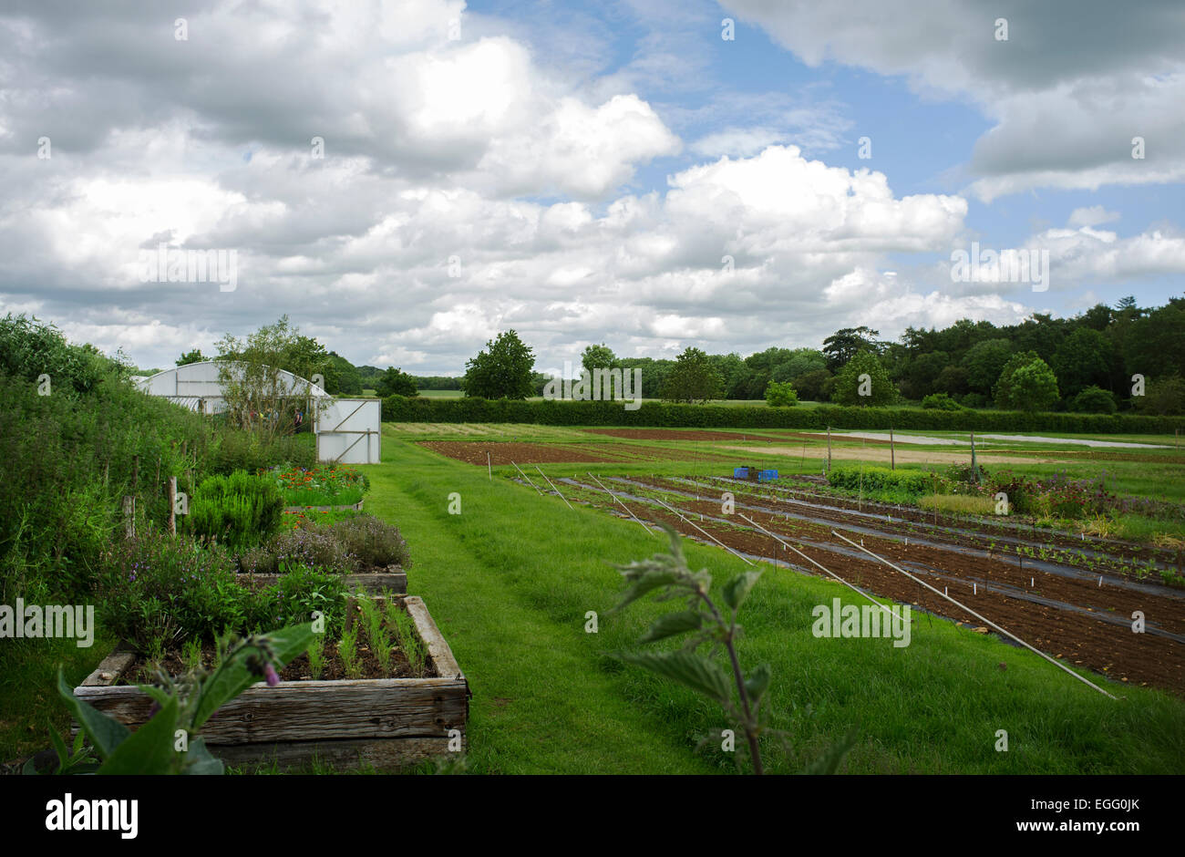 Download Abbey Home Farm Gloucestershire