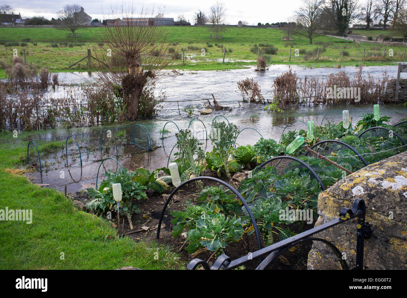 Garden flooded uk hires stock photography and images Alamy