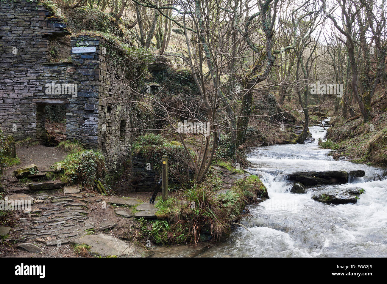 Trewethett Mill ruins and river, 'Rocky Valley', Cornwall, England, UK Stock Photo