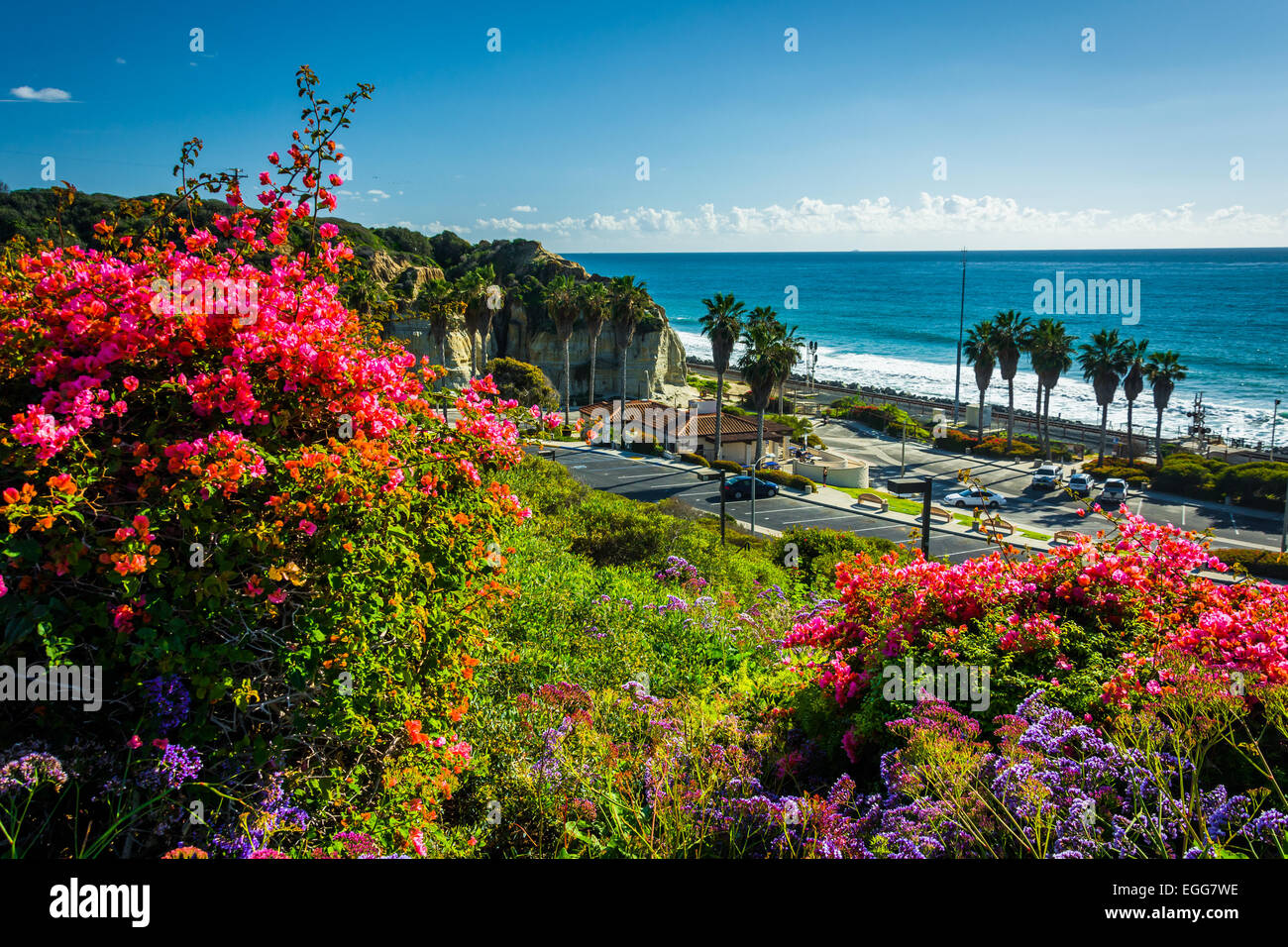 Colorful flowers and view of San Clemente State Beach from Calafia Park, in San Clemente, California. Stock Photo