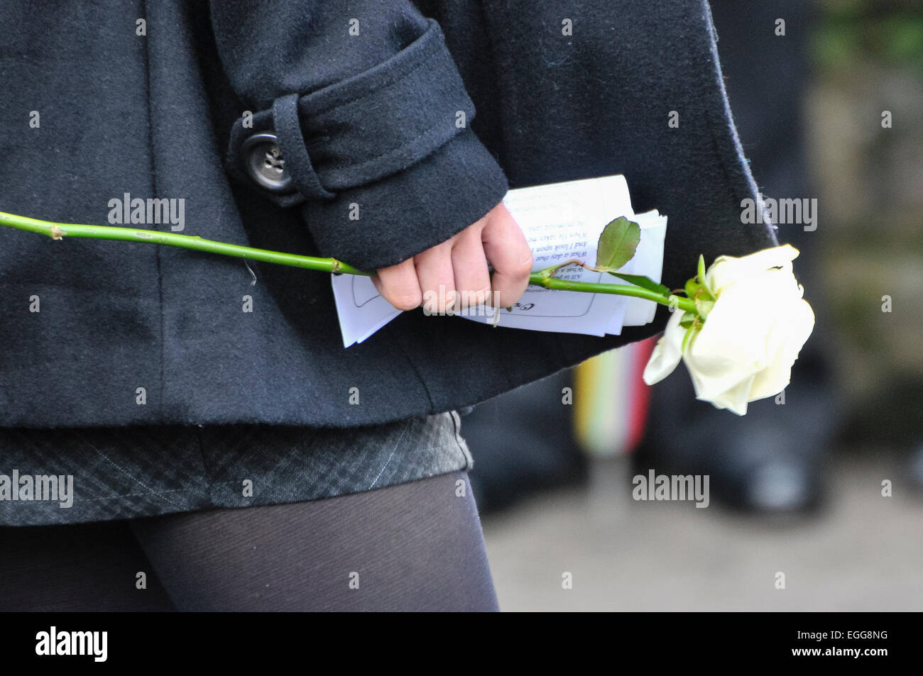 a person carries a white rose while dressed in black at a funeral Stock Photo