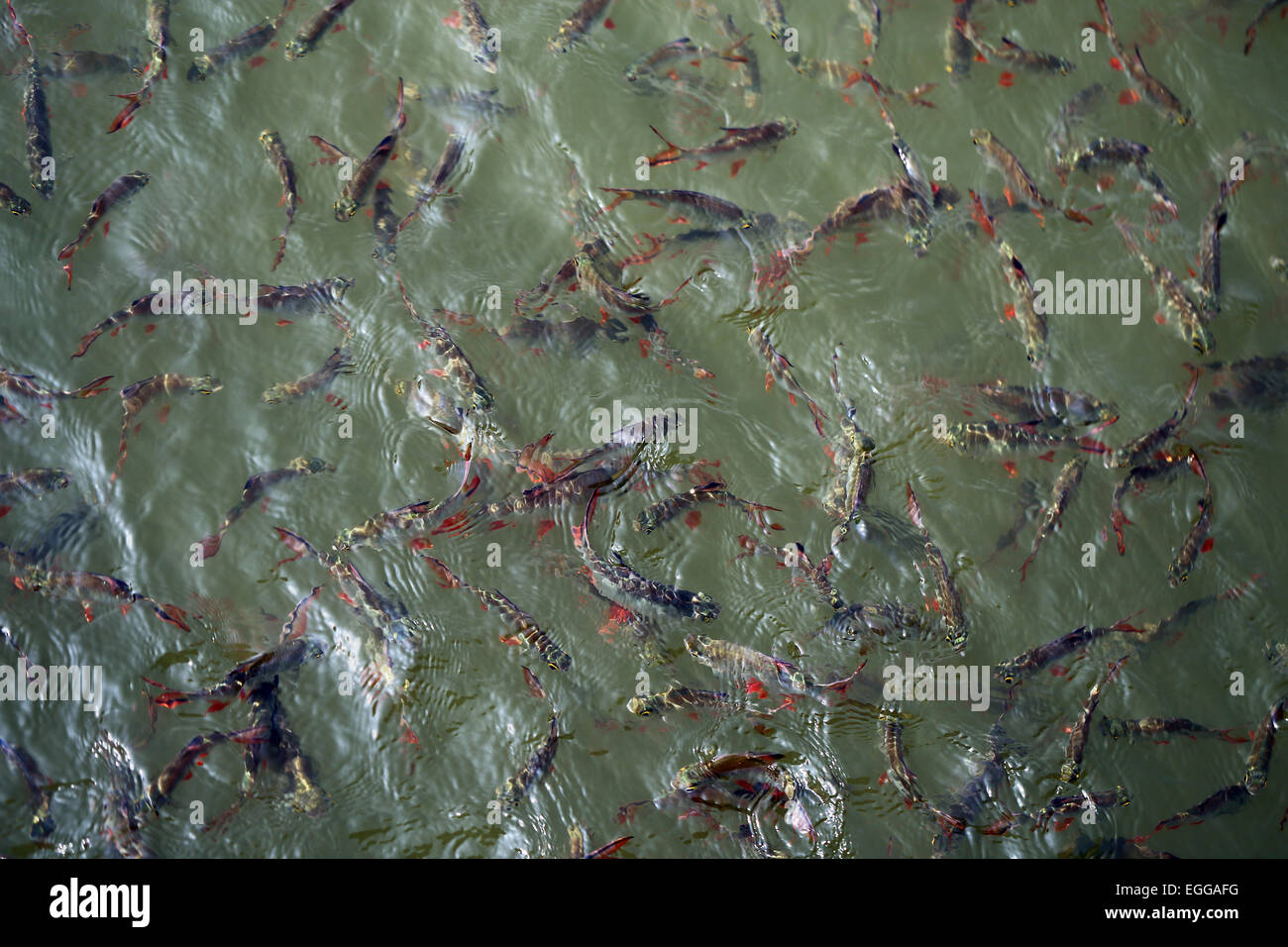 Large rope hi-res stock photography and images - Alamy