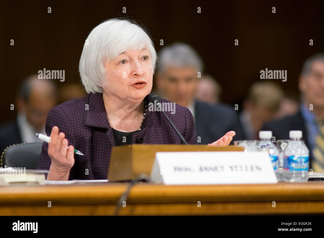 US Federal Reserve Chairwoman Janet Yellen presents the Monetary Policy Report during testimony at the Senate Committee on Banking on Capitol Hill February 24, 2015 in Washington, DC. Stock Photo
