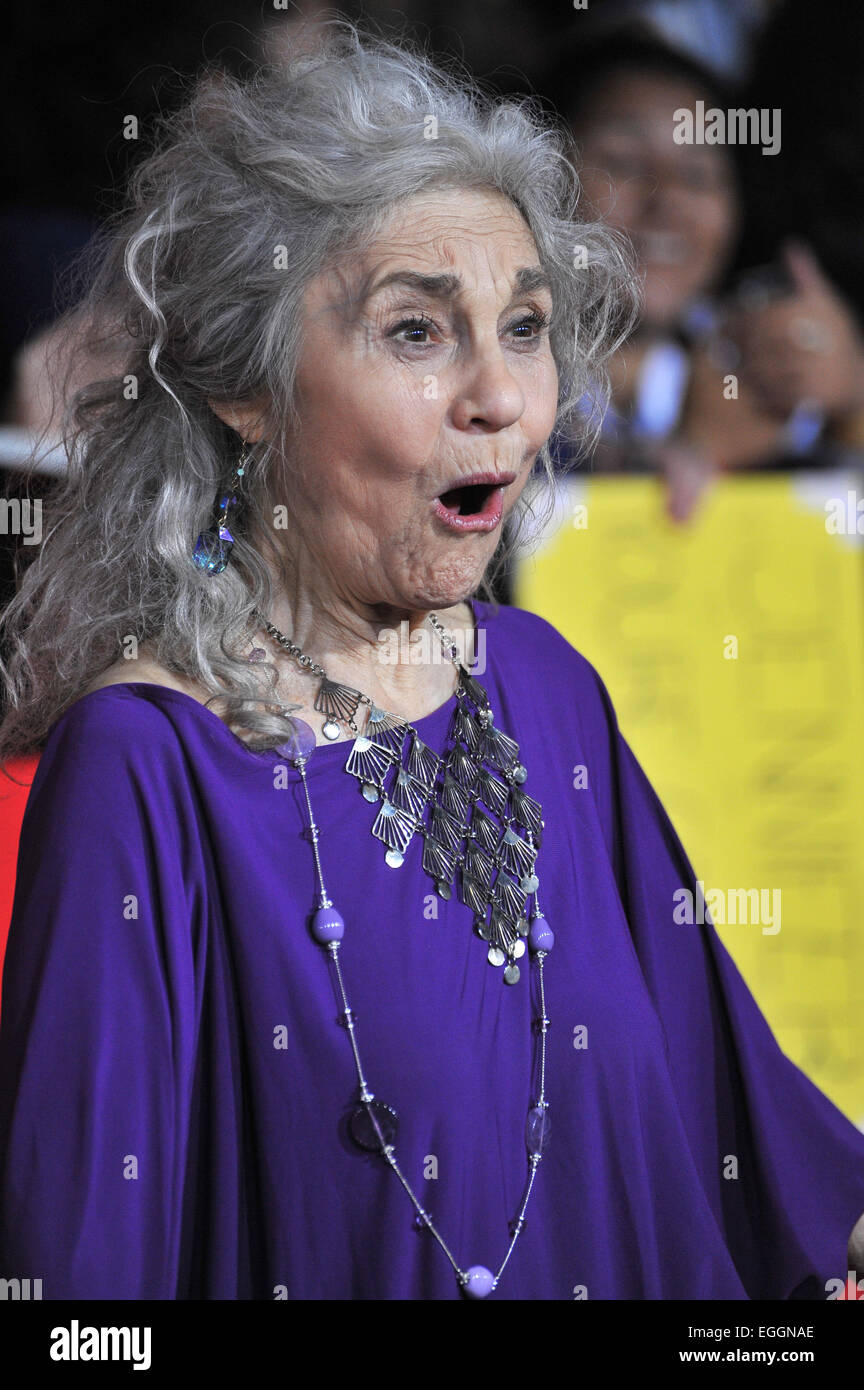 rita lynn cohen rita lynn cohen