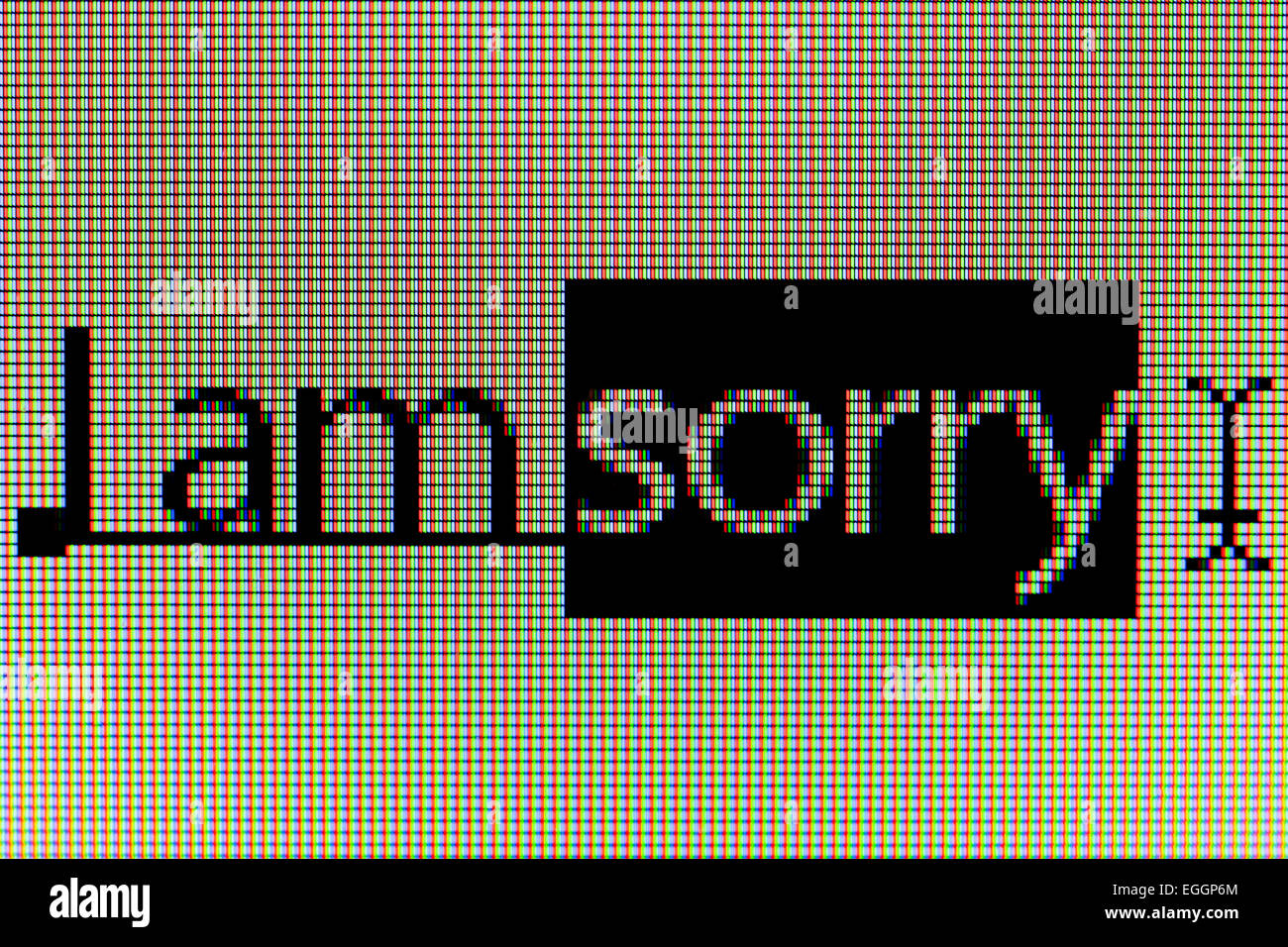 Closeup of phrase 'I am sorry' on LCD computer screen Stock Photo