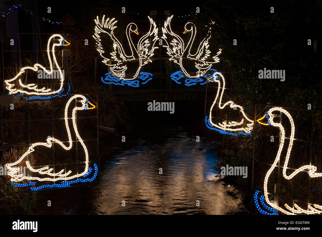 Swan illuminations, Angarrack [Christmas Lights], Cornwall, UK Stock Photo Alamy