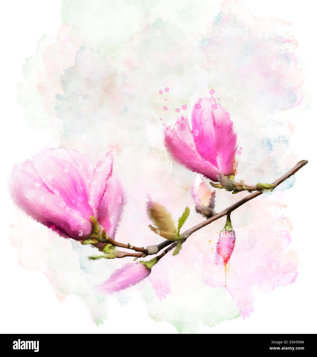 Magnolia flower artwork hi-res stock photography and images - Alamy