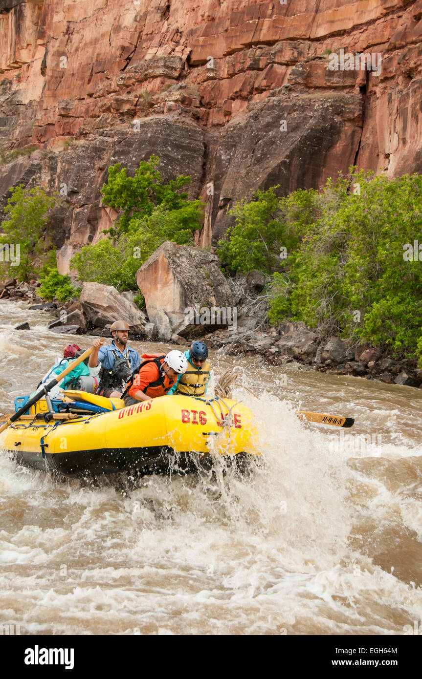 Guide rows the Big Joe raft through Warm Springs Rapid, Yampa River