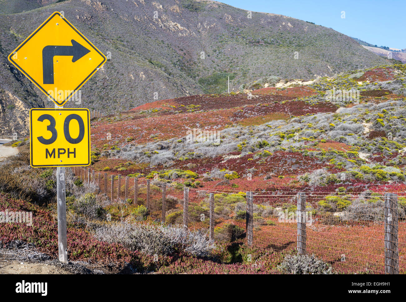 Road sign and colorful chaparral. Big Sur, California, United States. Stock Photo
