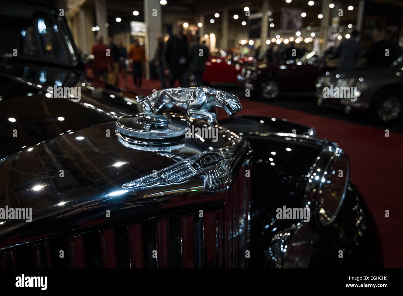 Hood ornament (Jaguar in the jump) of the Jaguar Mark V Saloon, 1949