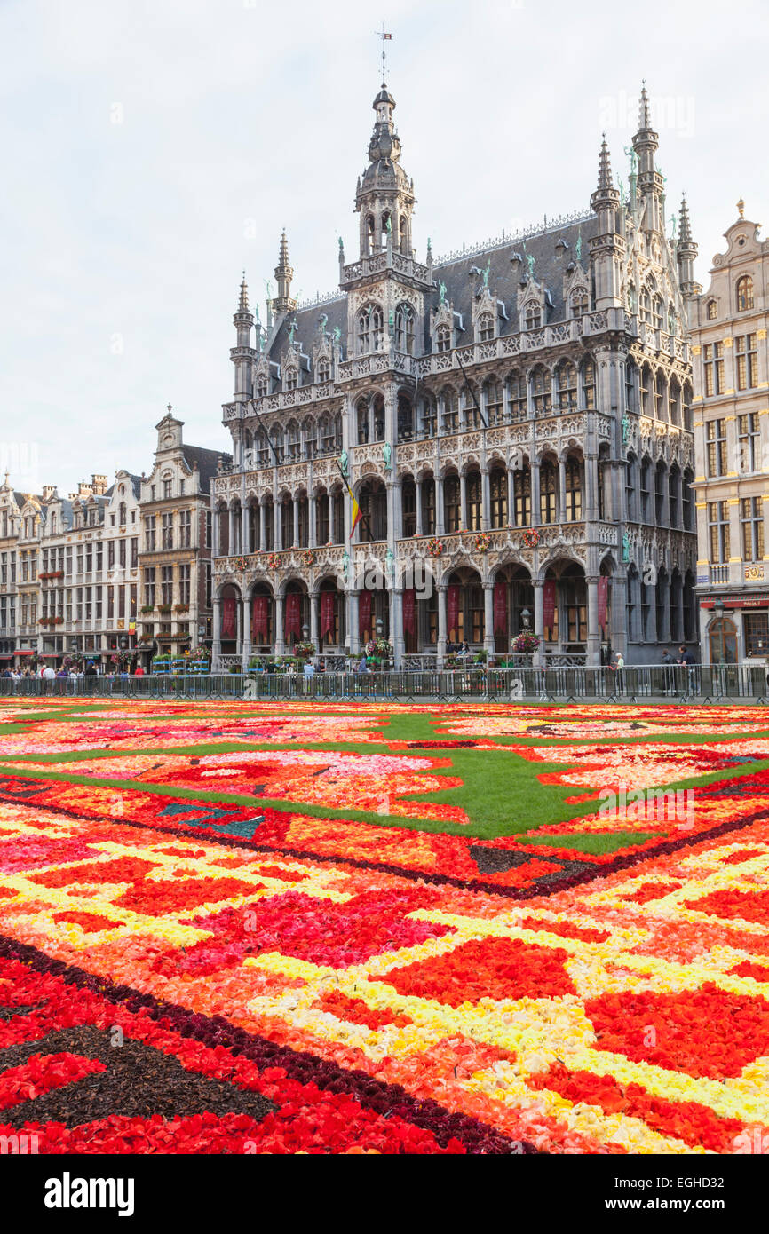 Belgium, Brussels, Grand Place, Flower Carpet Festival Stock Photo - Alamy