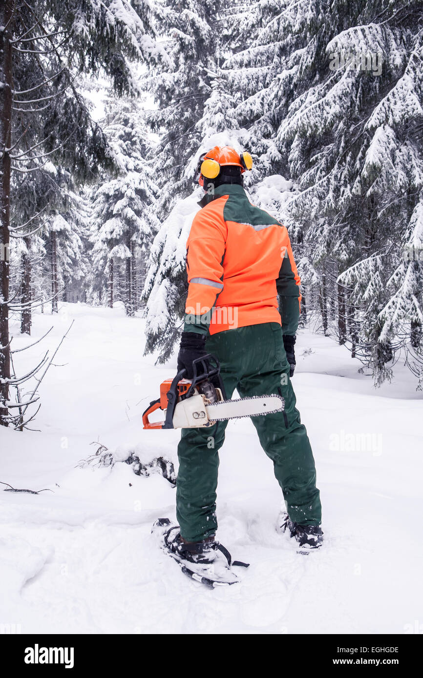 a woodcutter at work in the winter forest Stock Photo