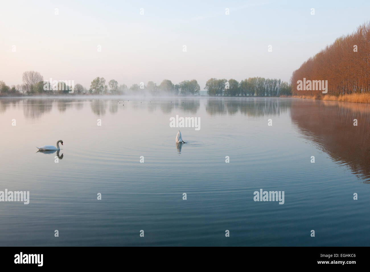 Ponds, Herbslebener Teiche Nature Reserve, Herbsleben, Thuringia