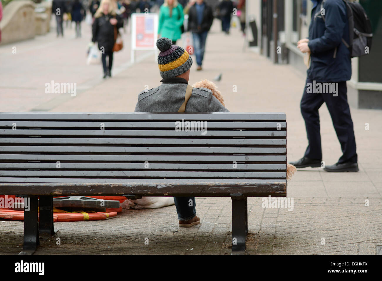 Man and Cockapoo dog sat on bench as shoppers pass quickly in Bedford ...