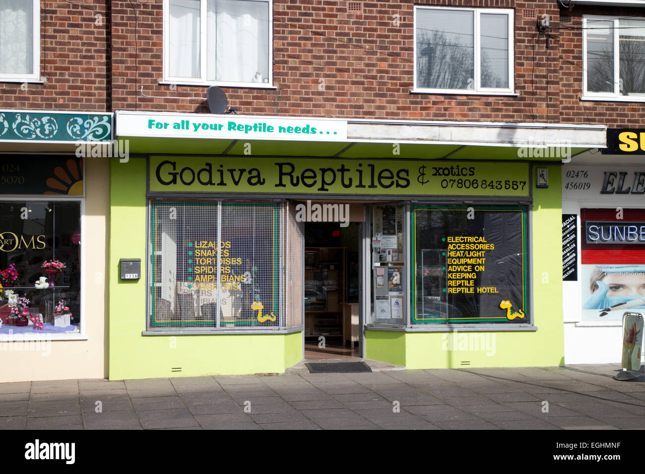 A shop selling reptiles, Coventry, UK Stock Photo